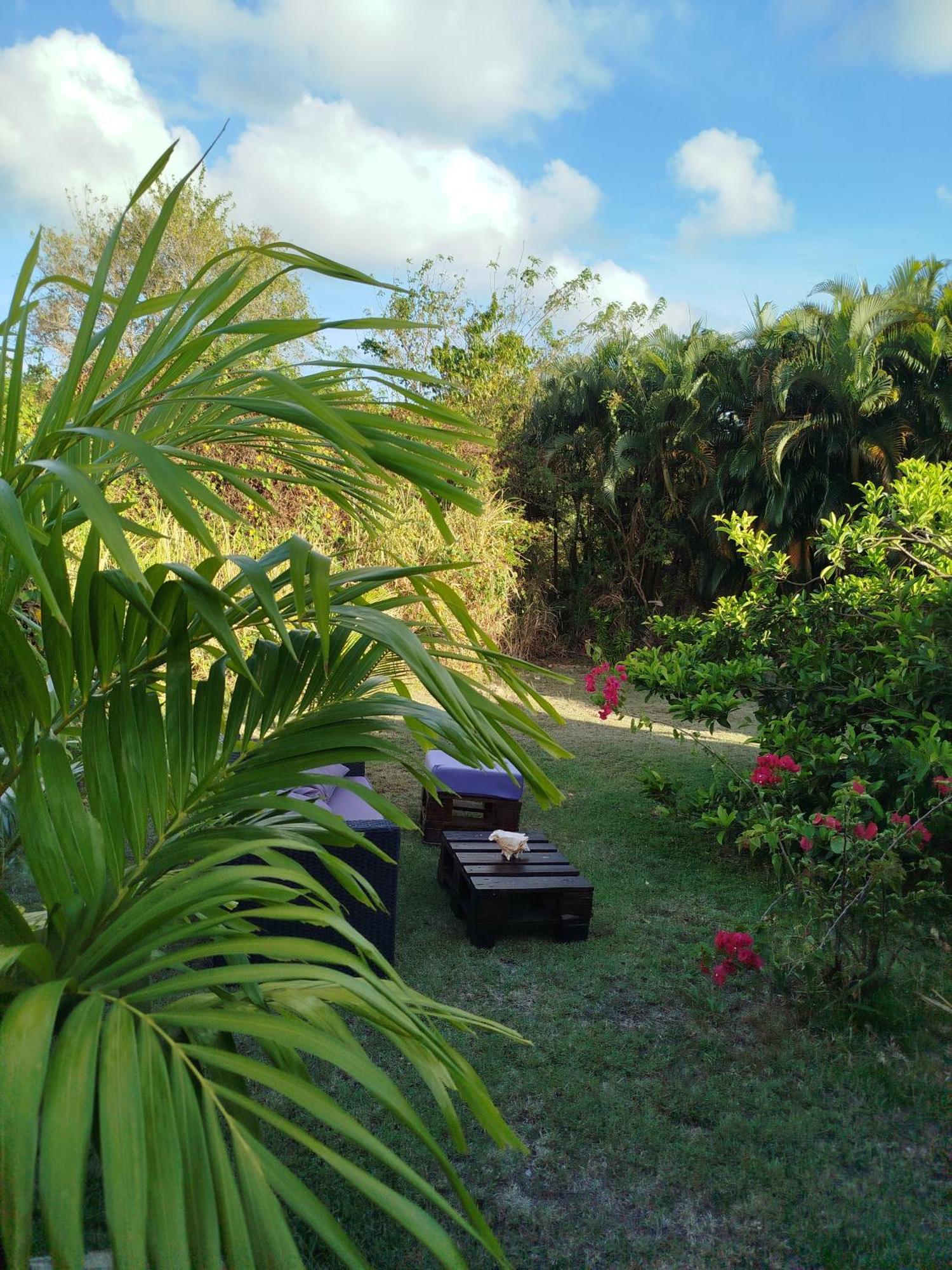 Ti-Case Appartement Jacuzzi A 100M De La Plage แซ็งต์-ลูซ ภายนอก รูปภาพ